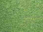 Modulyss Alpha Carpet Tiles - Green 606 - 50cm x 50cm