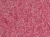 Heuga 530 Carpet Tiles - Recycled B Grade - Dusky Pink - 50cm x 50cm