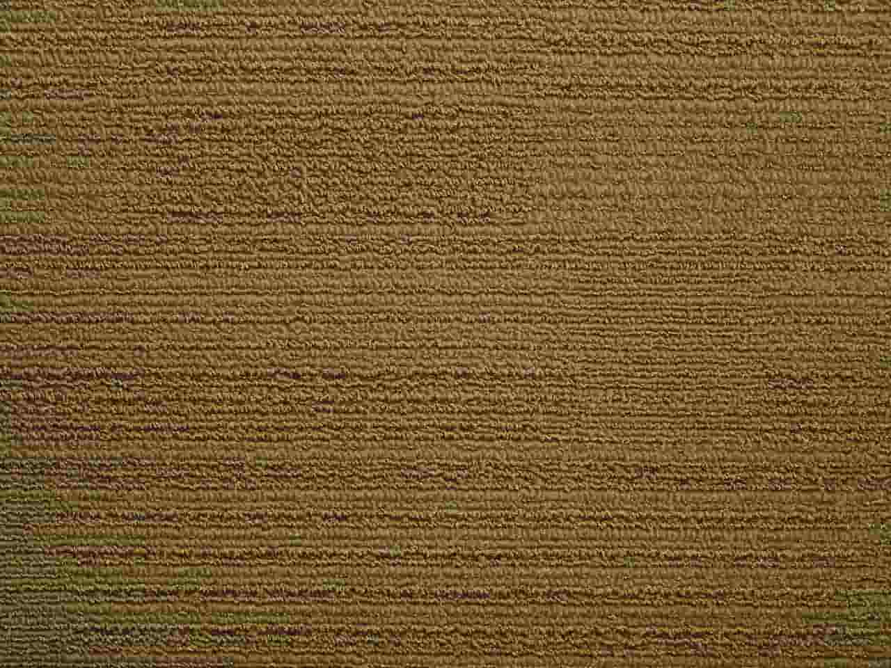 Modulyss Color& Carpet Tiles - Clearance - 823 Dark Sand - 50cm x 50cm
